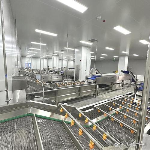 在食品加工与农产品初加工领域,清洗设备是保证产品质量的重要环节