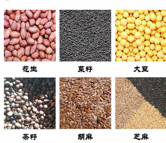  机械设备 农产品初加工机械 螺旋榨油机 >供应食用油加工设备